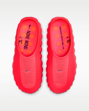#SolarRedMules